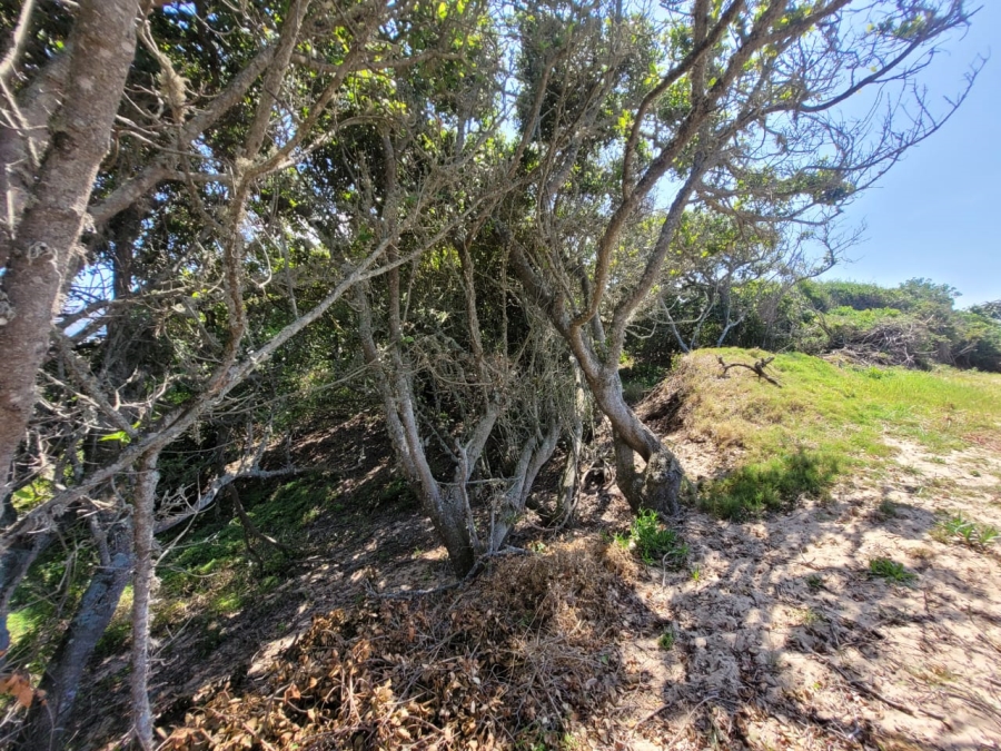 0 Bedroom Property for Sale in Paradise Beach Eastern Cape